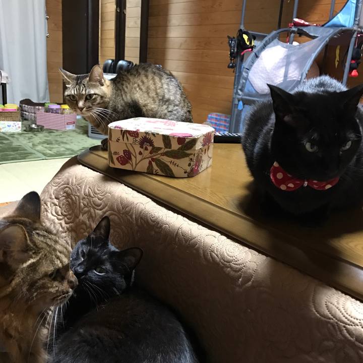 B3946e1a 75e2 4113 b6a9 94fc9dff097f