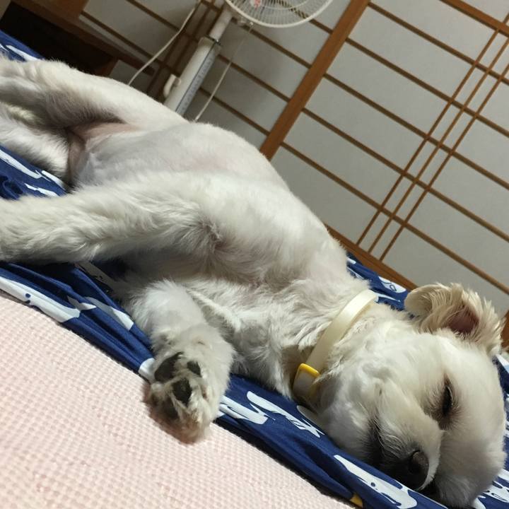 B394b7c4 c503 4b73 a571 93545a09e90b