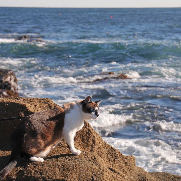 B394dfb2 aa02 4136 8e44 7c60d90e28f5