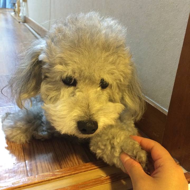 B394fdca 0ebd 46b7 8411 9e99de967948