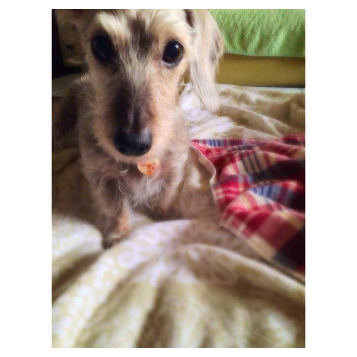 B395d873 1fb6 4b14 8315 40768b220f43