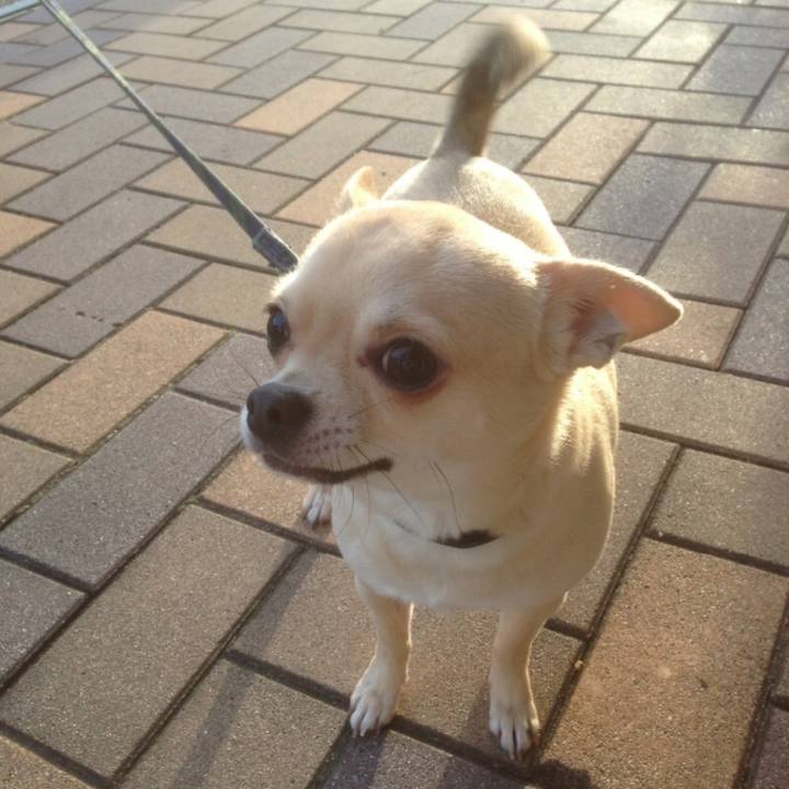 B395f7e0 3aa0 4ad1 b668 dd5fbc6f8f1c