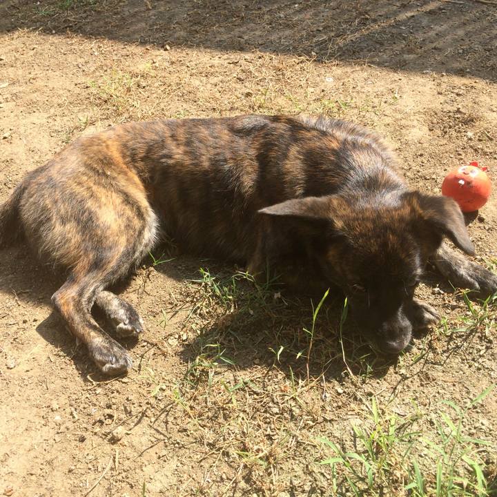 B3964f0f 9fc6 4c3b 9412 93e50a00dedf