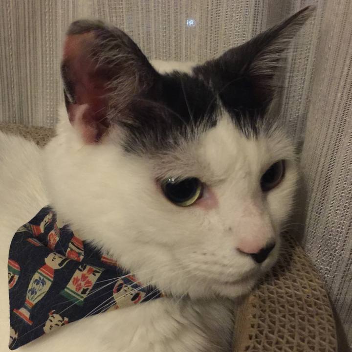 B3965cf2 afe0 42bf a838 7ce33a77cd00