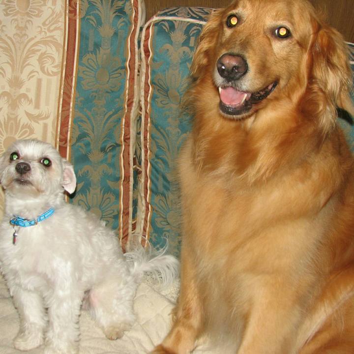 B3972592 e453 4194 a2ba 45b83b511d79