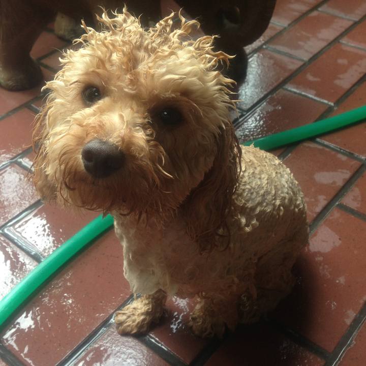 B397491b a01b 4582 b964 14428d4f2bb7