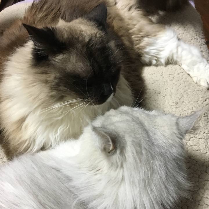 B39774cf 70fd 452d a155 a3fb546c954d