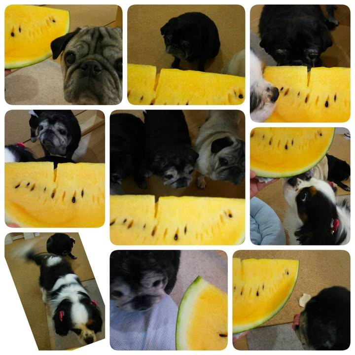 B39792d9 69f4 4d0f a2fd 5ff09353af52