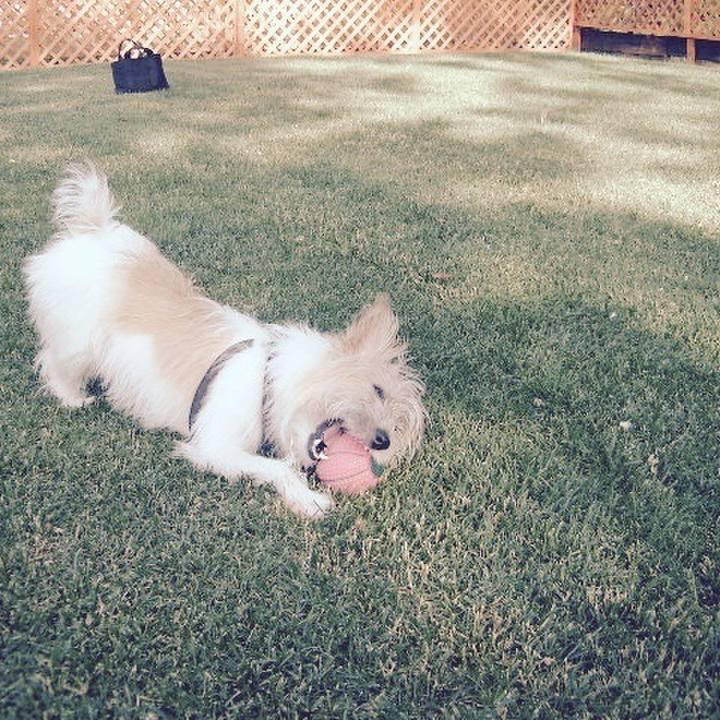 B397e8d0 9c37 4fec b310 8086f865f31e