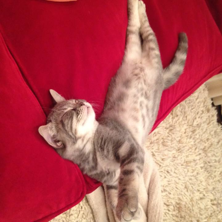 B3983cc1 626e 4aa8 9919 33468d9f1210