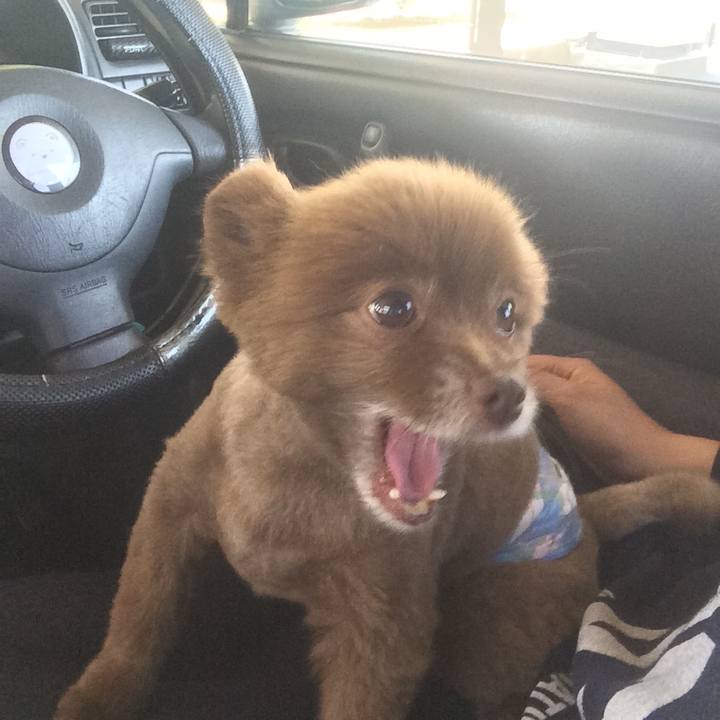 B398dfe6 a607 4a18 b257 73f4d58d81a2