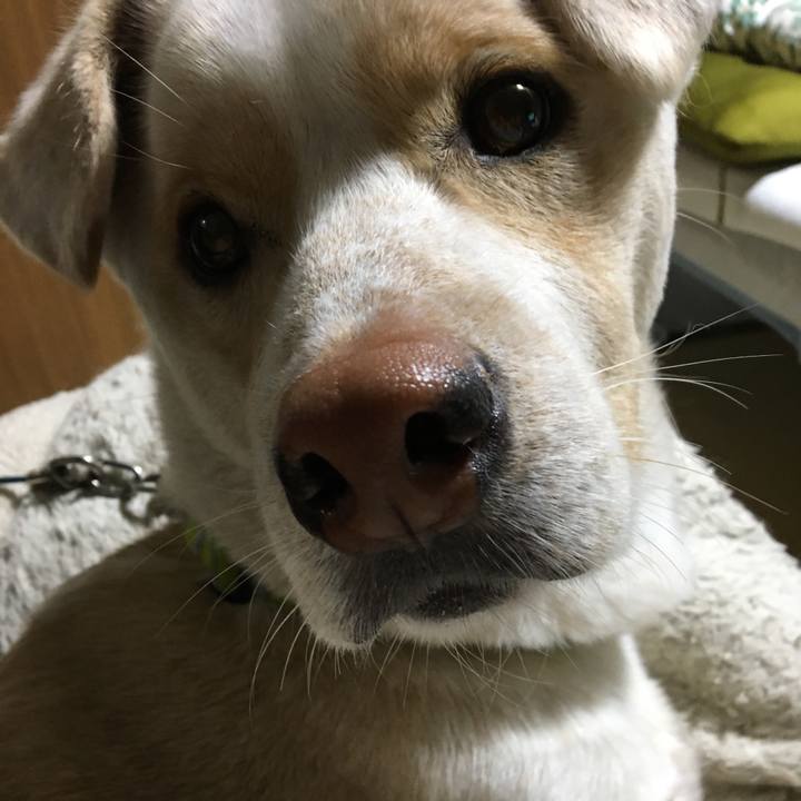 B398f62e c263 4c83 9e52 5dae17909bcc