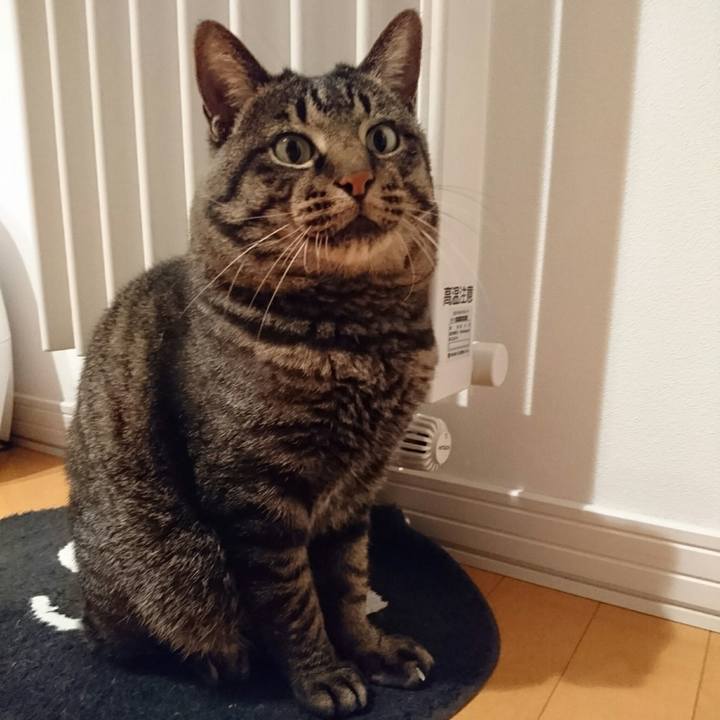 B399206e 5372 476d a73d f0465ce91c7a