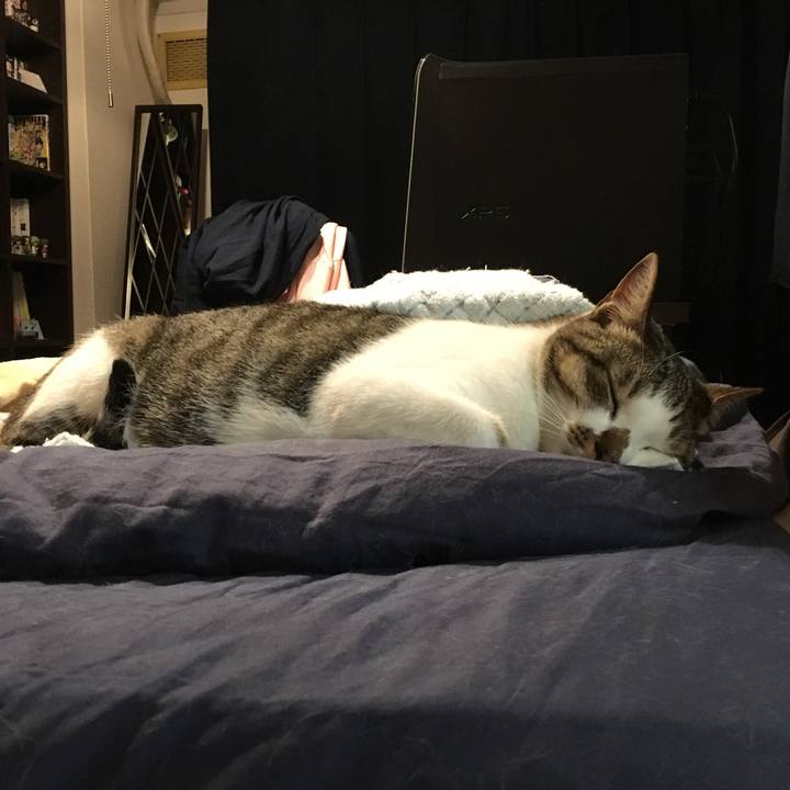 B39971db 78da 4a11 83a9 476416160e44