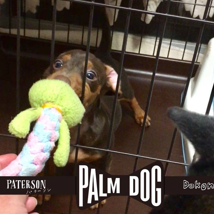 B399c069 44c1 46b8 bfd2 ab0265b15cce