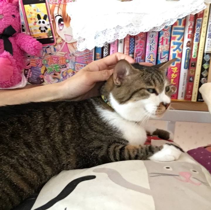 B399ca41 a0ab 495f a368 42ea8d65e2b2