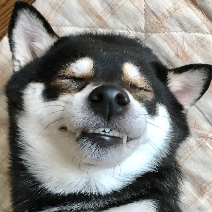 B39a3665 35f1 4234 bc10 646fd7725e1a