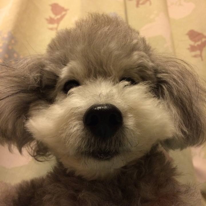 B39a37c0 2880 4d7f 8aed ea4d325a2868