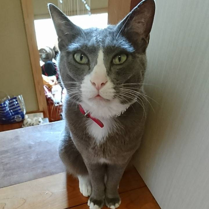 B39aadae 7c8a 478a 95ee 0ce7675b9d45