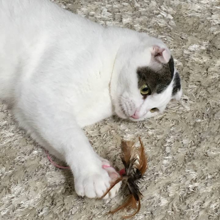 B39ae3bd d37c 4042 a31a bf6a7b1d1f49