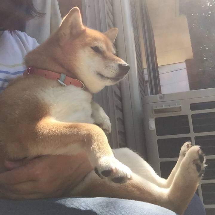 B39b2661 fe34 4ff0 a174 e3583bd1ca97