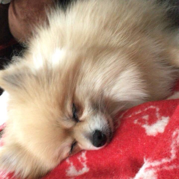 B39c26b6 340e 427d ac36 2c175ca77571