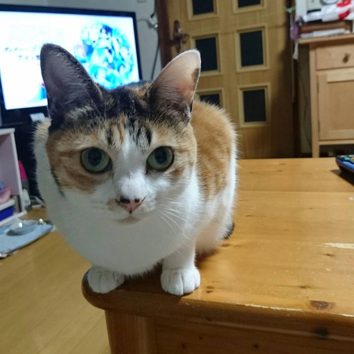 B39c516e 1aa3 4d57 8585 5c8af62e64ed