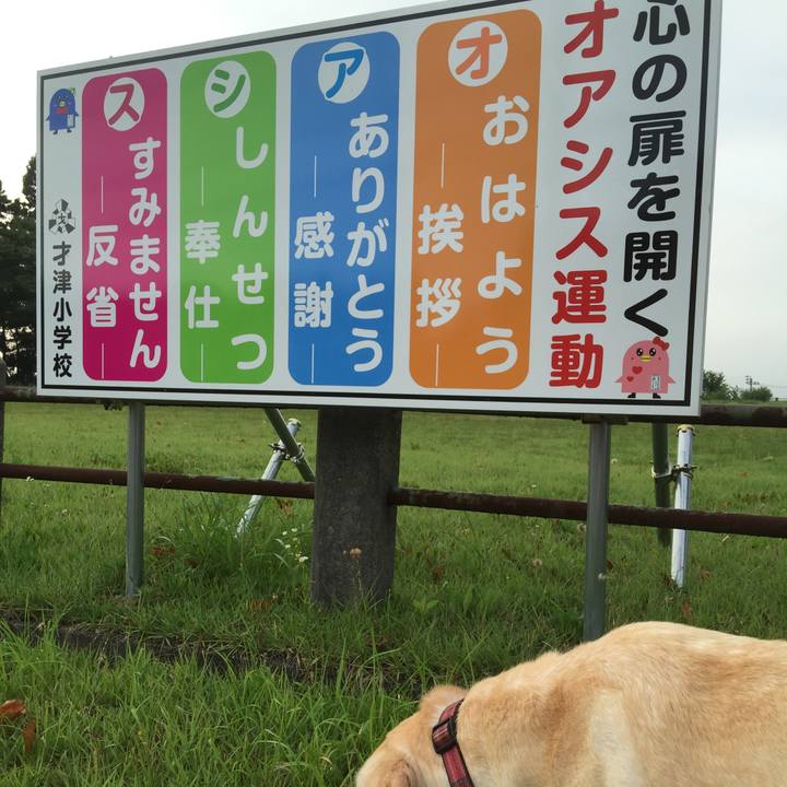 B39d0511 b2ee 477c ae48 0f8c5ce85fe7