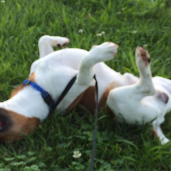 B39d0cc6 d112 4cc0 9910 806f22dfc955