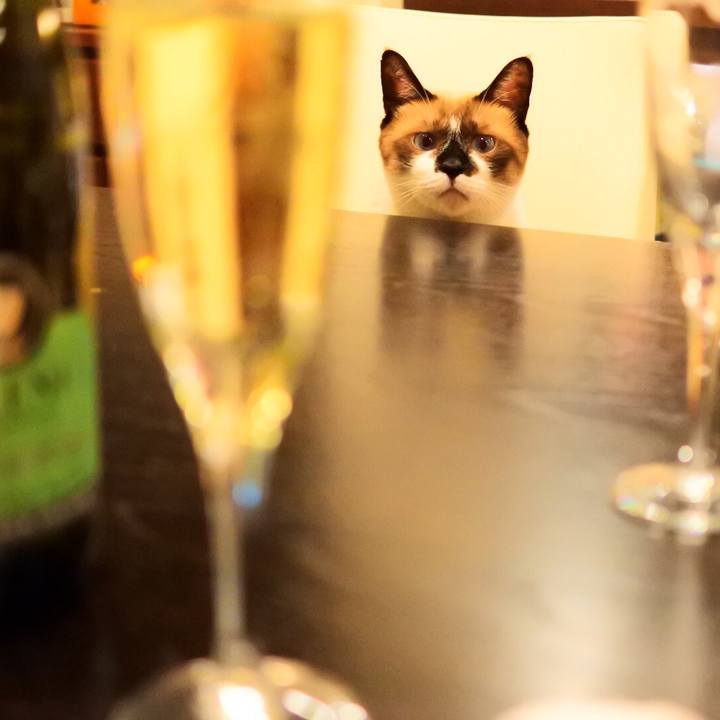 B39d7add c86a 459f a3ed 01edfb5b8442