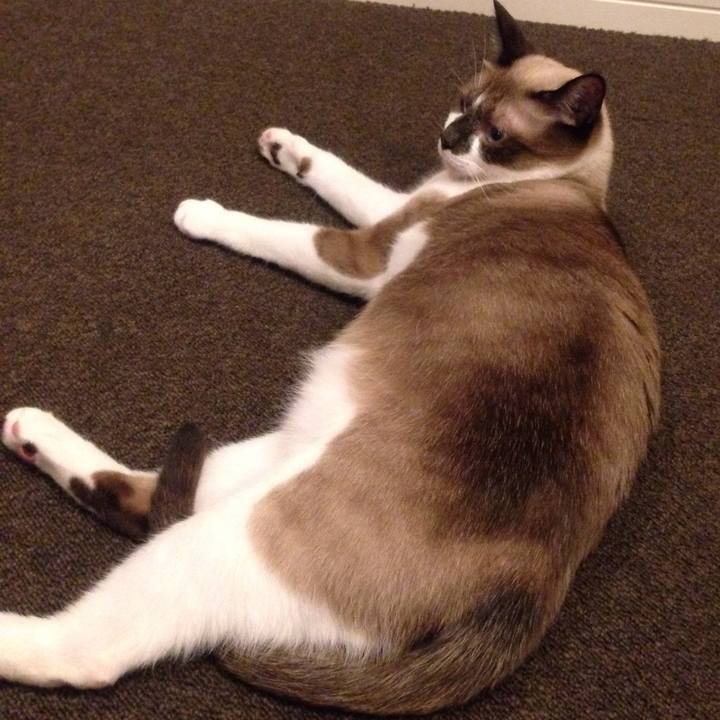 B39f5eeb 410c 44f9 b86c ef77e4efe454