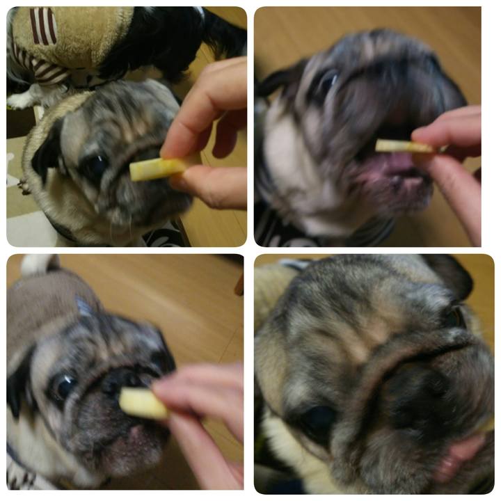 B39f5efa f071 4f95 a51d af8305d207f0