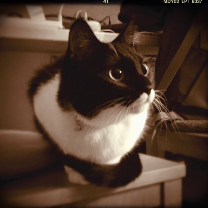 B39fbe64 7905 4dc2 b503 a1d3aed549e4