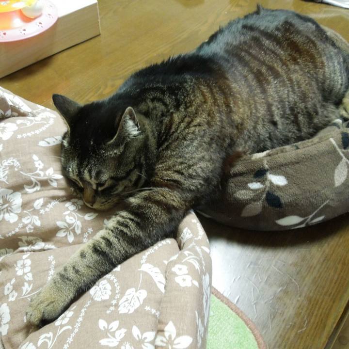 B39fc1e9 a0b9 4e94 a285 32be7fc23ac0