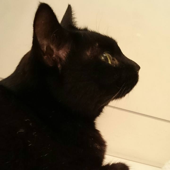 B3a08e49 9217 4c64 a0ba 16b484536d96