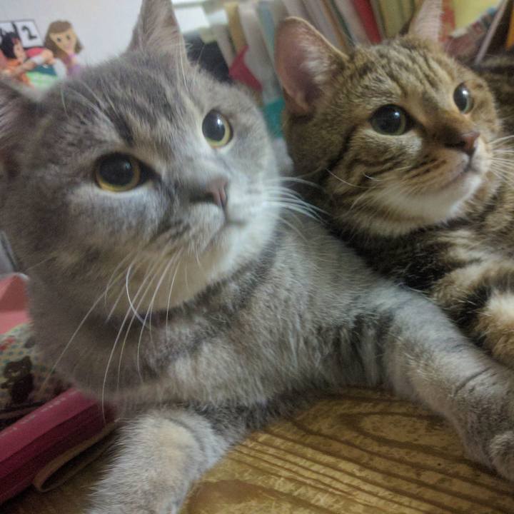 B3a1053d a67f 4fbc 81e2 ee26ee3dec46