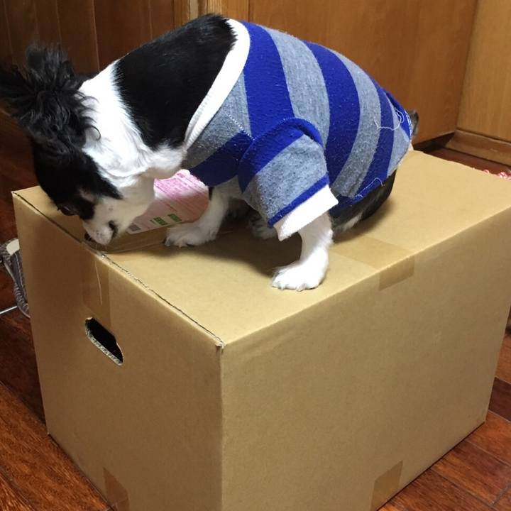 B3a15142 3288 4d55 bd9d b562d57cd958