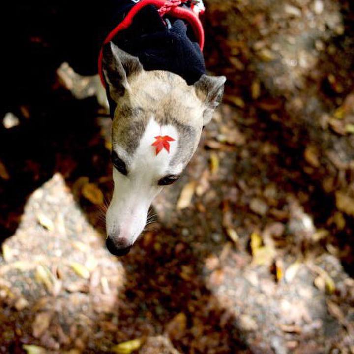 B3a153cb 2d6d 4d6a a9cf 150ce65f52c1