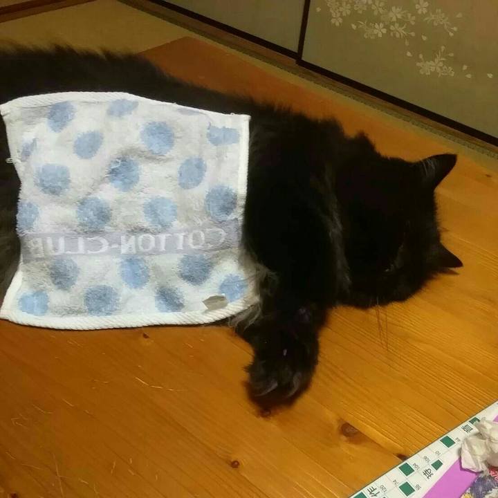 B3a1b1ef c0a2 40ed 9c39 f5c170bd4cb4