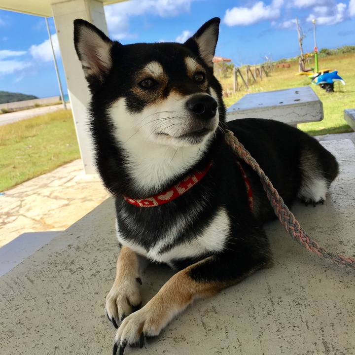 B3a1d62f ce65 4f48 a4d2 53bea58880f4