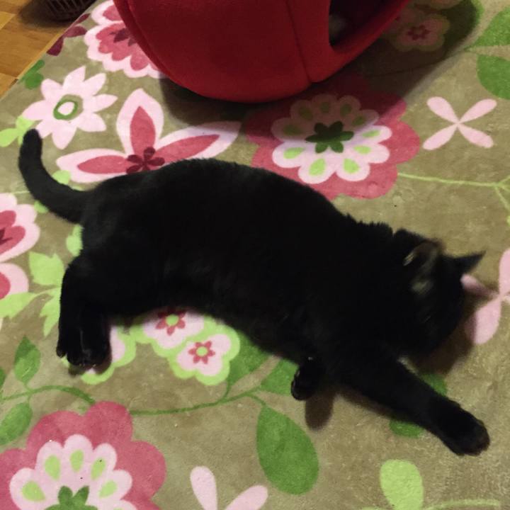 B3a1d991 f3d1 443e bf37 7574f43355c9