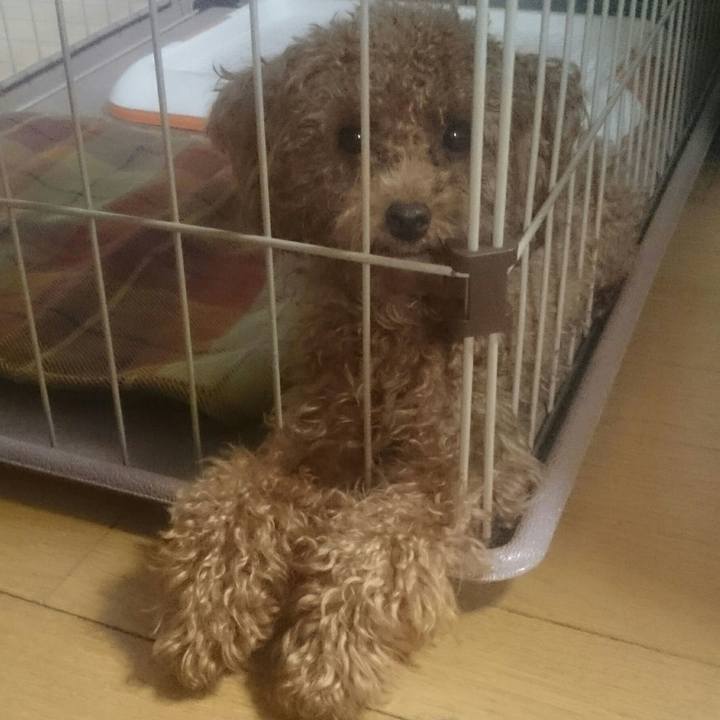 B3a22b55 e869 4390 ba05 51d565165bb0