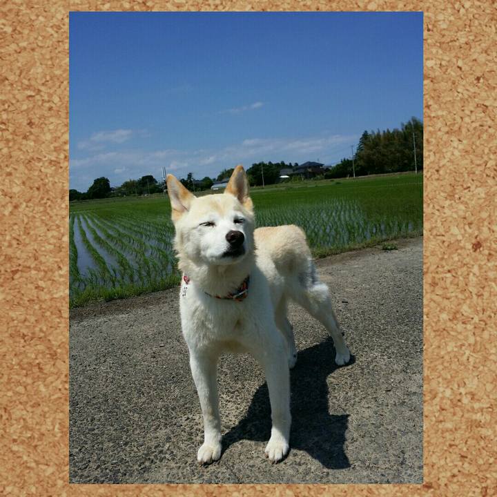 B3a239e7 253e 4f23 aa61 b3b5a88f82ba