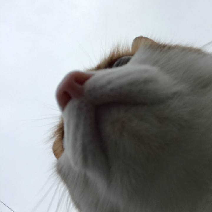 B3a25a2d 02f4 4a82 b4b9 5e3662070911