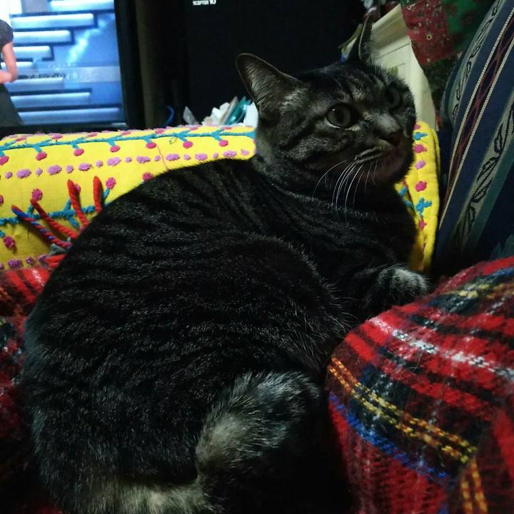 B3a2ae9e 21d3 431e 89ad bc081ab7b817