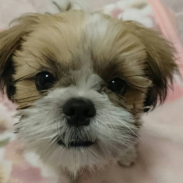 B3a2c94e 9b2d 475d a237 e2ec127cc6fb