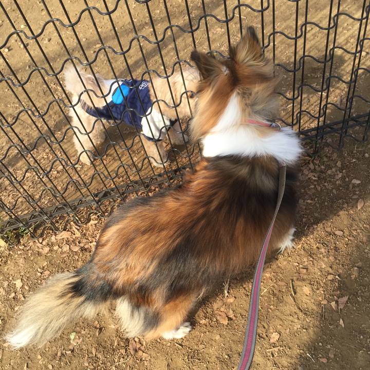 B3a2faff b95c 4249 91fc 28349e975659