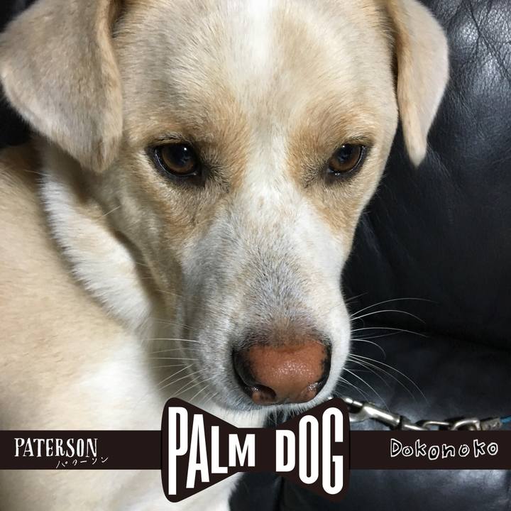 B3a32721 bdf1 4fb4 a59a 1dd3aaccbab0