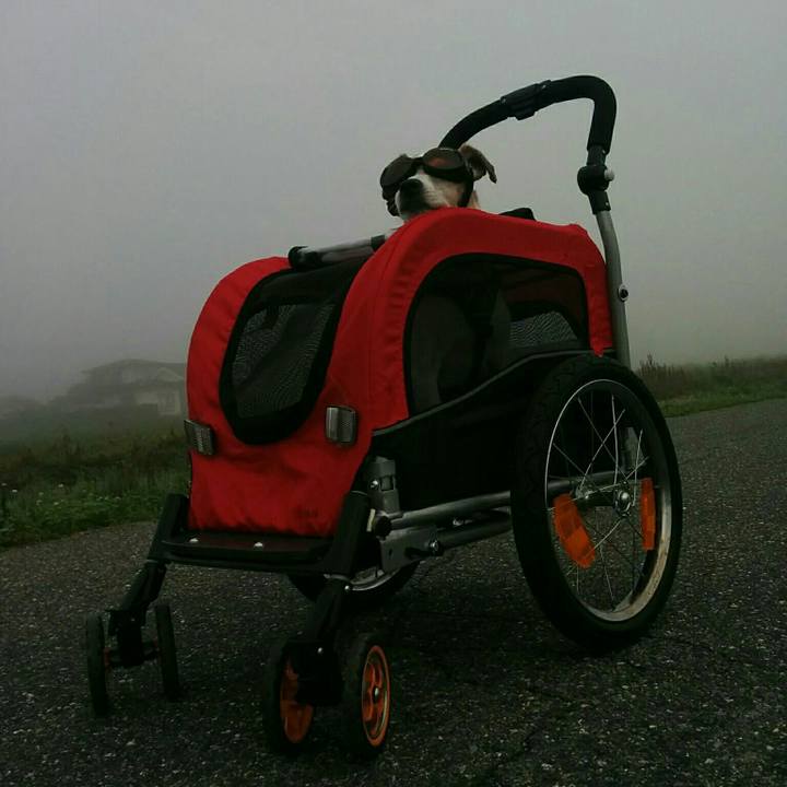 B3a39271 a46d 4b29 b116 27ff3fc3f769