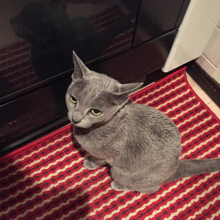 B3a3e1f0 3b44 48ce aec9 57ccba639813